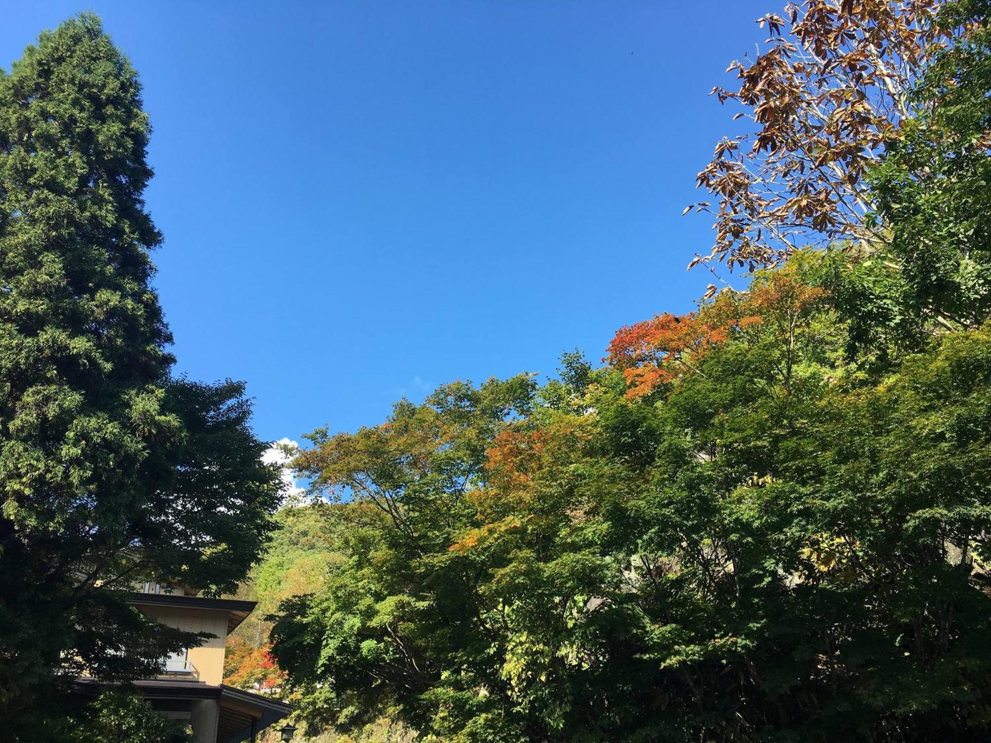 Takaragawa Onsen Ousenkaku Hotell Minakami Eksteriør bilde